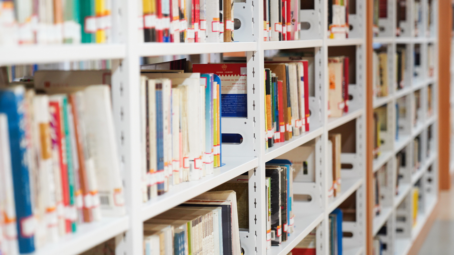 File photo: Rows of books are neatly arranged on shelves at the Dalingshan Library in Dongguan, Guangdong Province, on October 21, 2021. /CFP