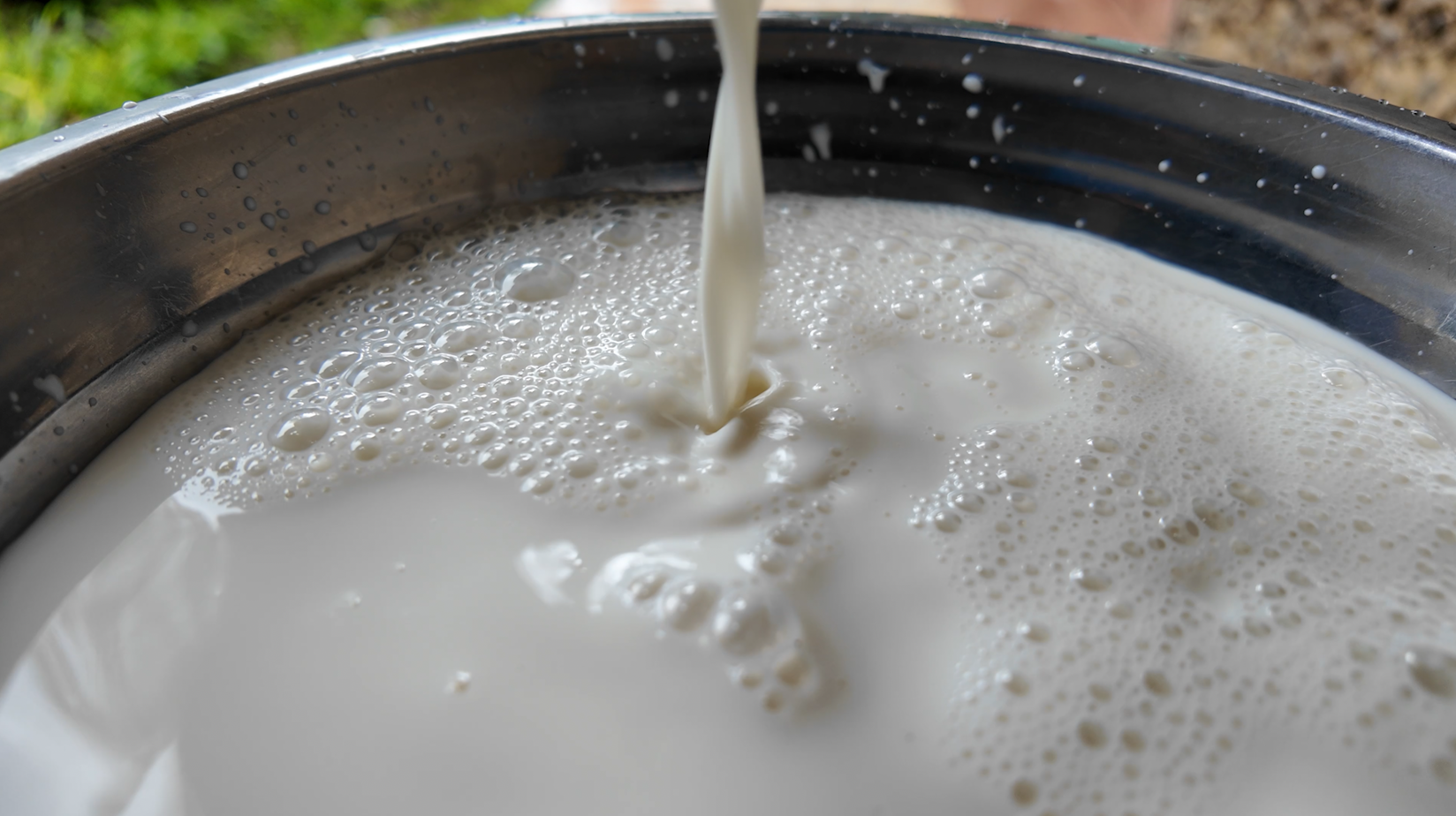 Goat milk also commands premium prices of between US$0.77–0.93 per litre, July 11, 2026. /CGTN Africa