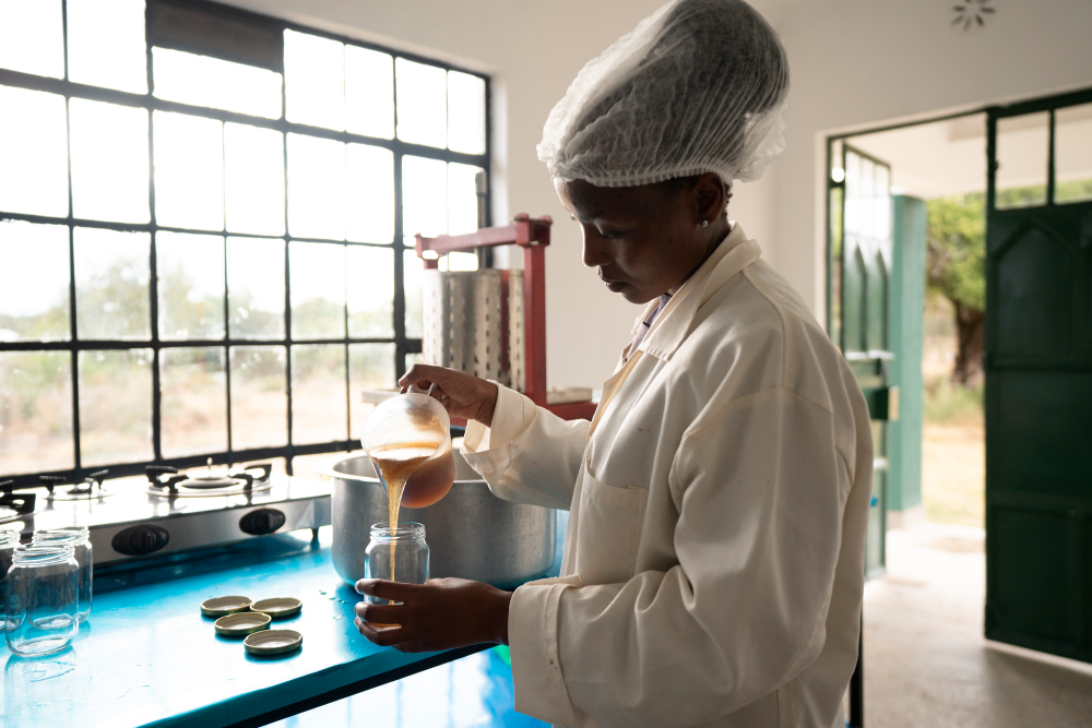 A researcher at the Laikipia Permaculture Centre sieves oil extracted from Opuntia stricta seed, Laikipia County, Kenya, November 6, 2022. /Laikipia Permaculture Centre 