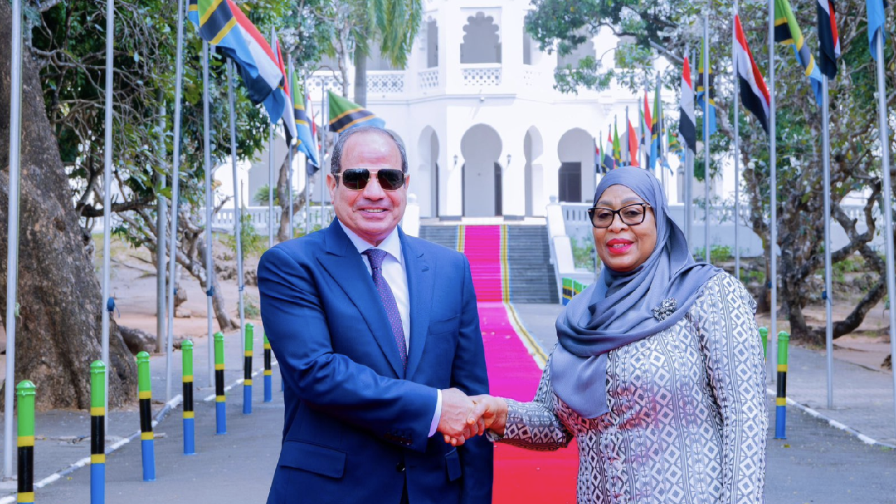Tanzania, Egypt agree to deepen cooperation across key economic sectors