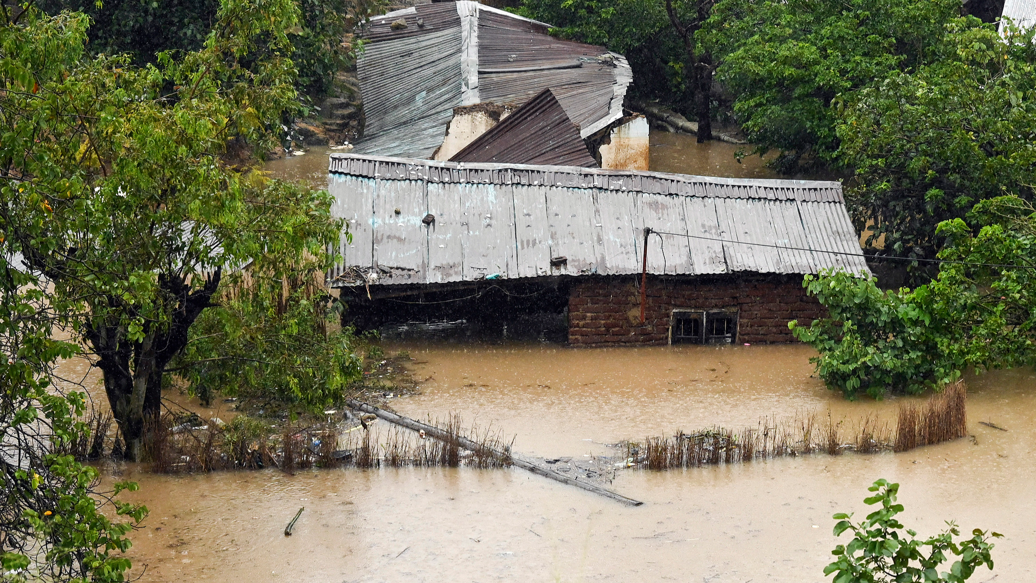 Africa faces up to $20 billion losses from 'super' El Nino: AfDB