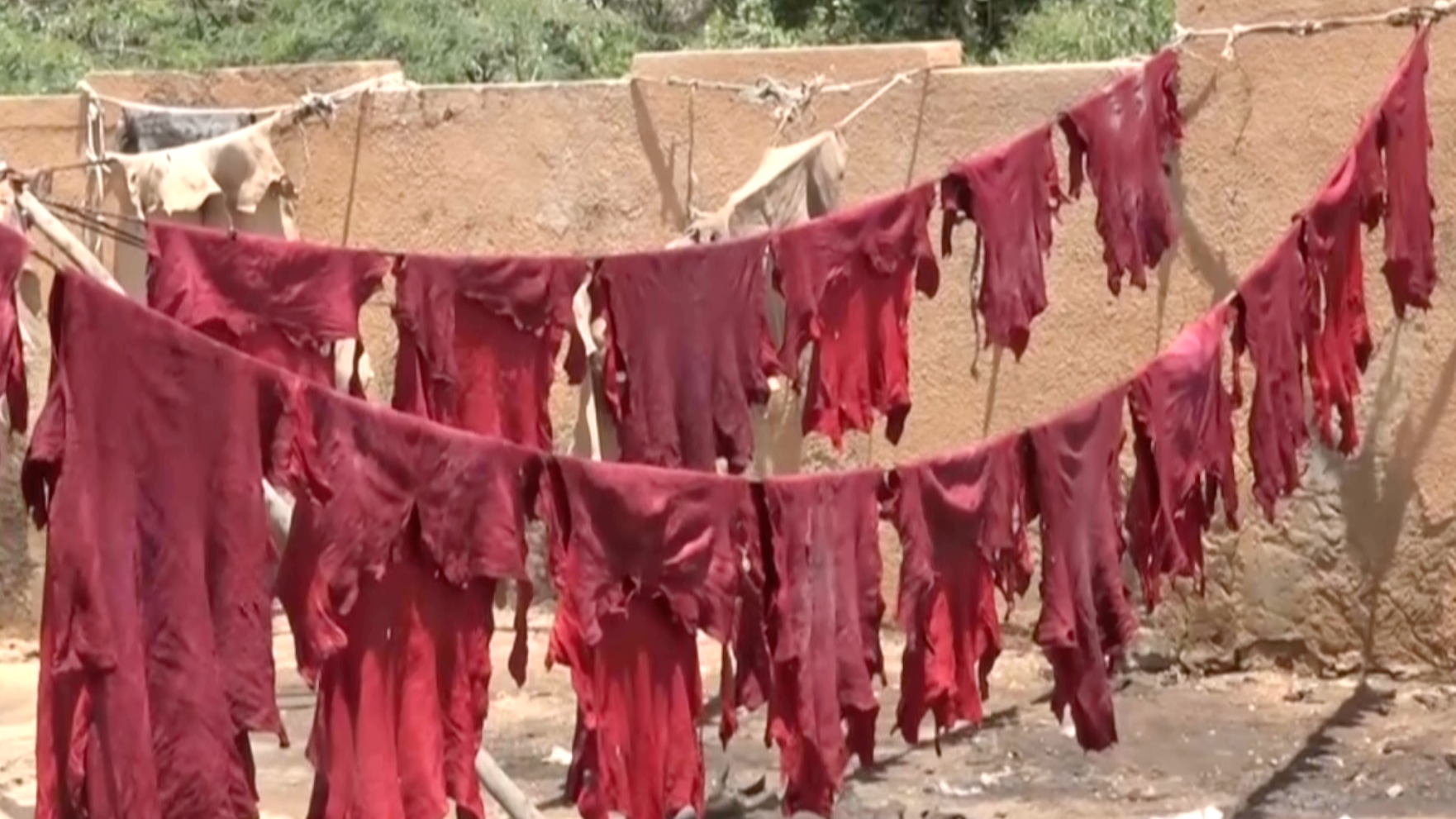 Hides are left to dry after processing at the Gamkallé tannery in Niamey, Niger. /CGTN Africa