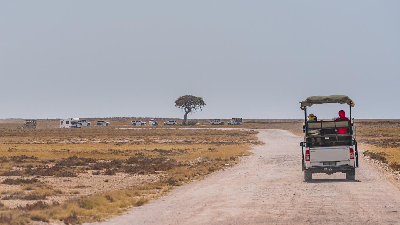 Namibia reinforces firefighting efforts in Etosha National Park
