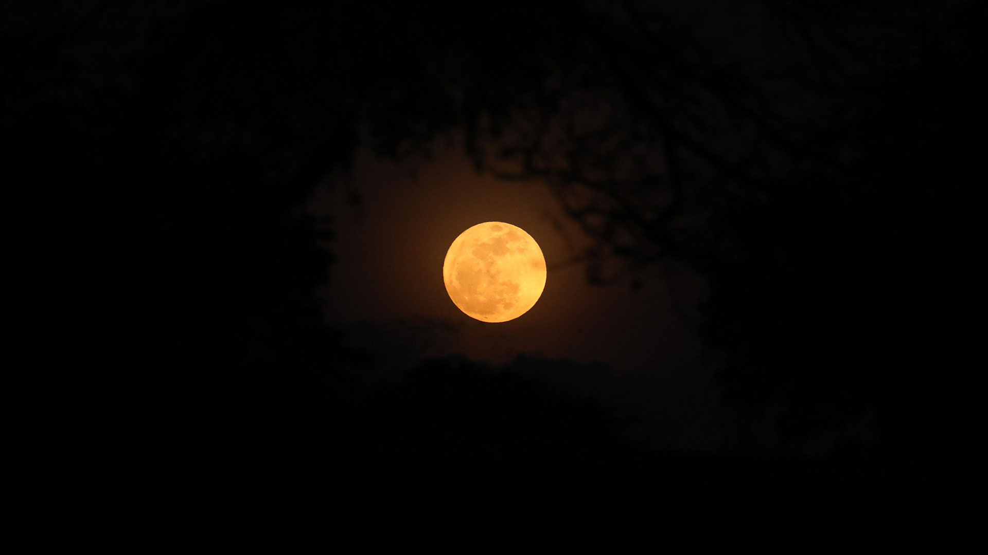 A “supermoon” appears in the night sky over the Maasai Mara National Reserve, Kenya, August 19, 2024. /VCG