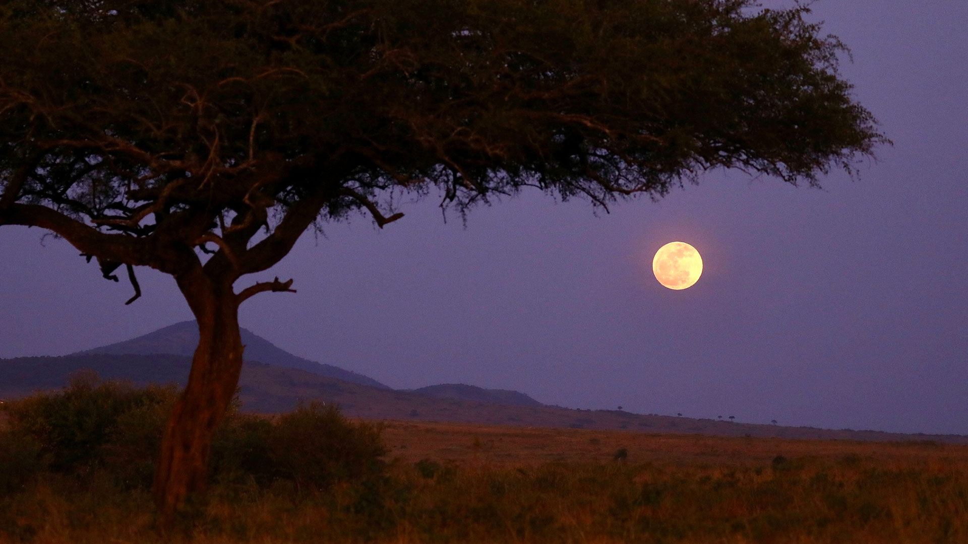 A “supermoon” appears in the night sky over the Maasai Mara National Reserve, Kenya, August 19, 2024. /VCG