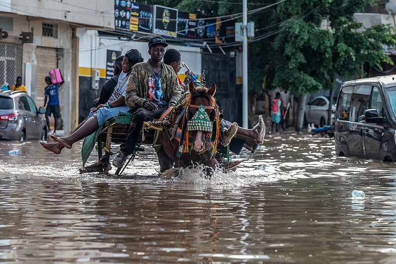 A horse-drawn cart transports passengers through a flooded street in Dakar, Senegal, October 5, 2026. /VCG