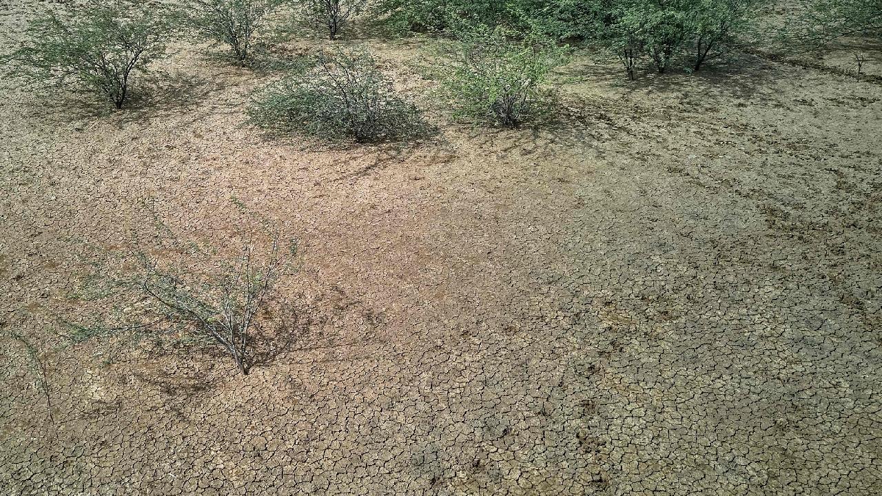 UN forecasts stronger El Niño conditions through December