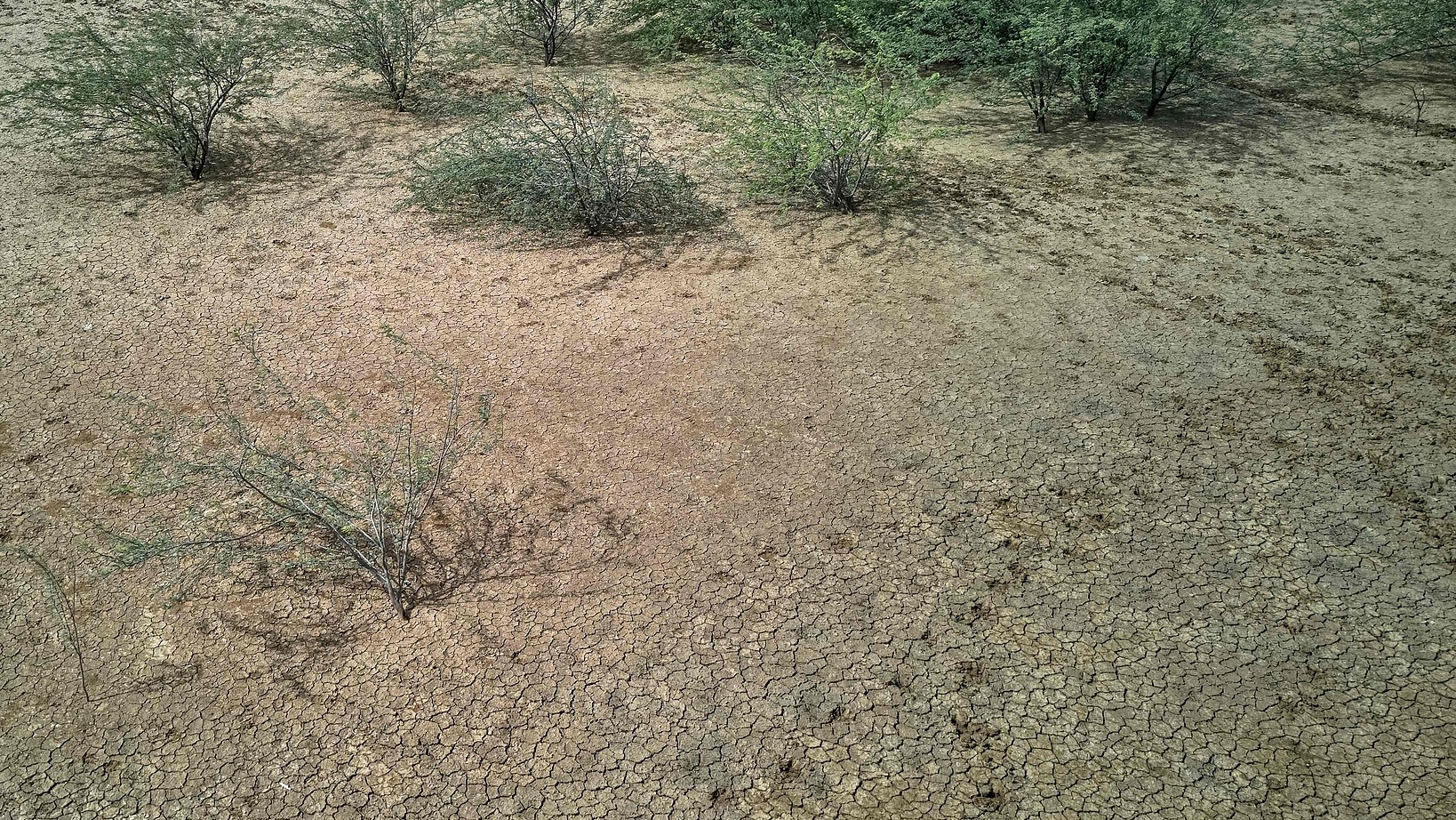 A general view of parched land showing deep surface cracks following several consecutive weeks without rainfall in southern Madagascar, September 24, 2026. /VCG