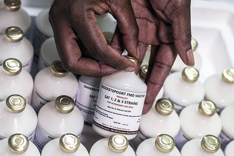 A woman holds a bottle of foot-and-mouth disease (FMD) vaccine during a media briefing at the Agricultural Research Council (ARC) in Pretoria, South Africa, February 6, 2026. /VCG