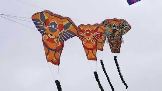 Giant animal-shaped kites, geometric designs and imaginative creations transform the blue sky into a vibrant canvas of colour during the 32nd Cape Town International Kite Festival in Cape Town, South Africa on October 24, 2026. /CMG Africa