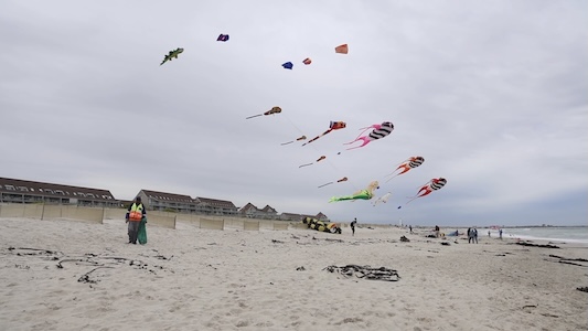 Giant animal-shaped kites, geometric designs and imaginative creations transform the blue sky into a vibrant canvas of colour during the 32nd Cape Town International Kite Festival in Cape Town, South Africa on October 24, 2026. /CMG Africa