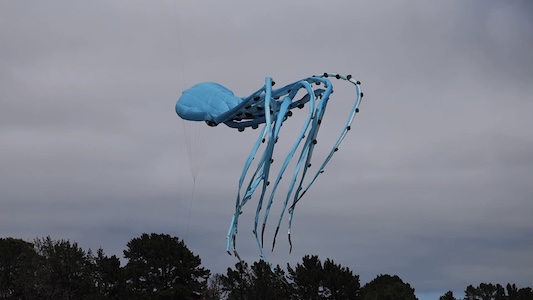 Giant animal-shaped kites, geometric designs and imaginative creations transform the blue sky into a vibrant canvas of colour during the 32nd Cape Town International Kite Festival in Cape Town, South Africa on October 24, 2026. /CMG Africa