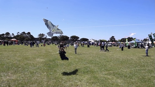 Giant animal-shaped kites, geometric designs and imaginative creations transform the blue sky into a vibrant canvas of colour during the 32nd Cape Town International Kite Festival in Cape Town, South Africa on October 24, 2026. /CMG Africa