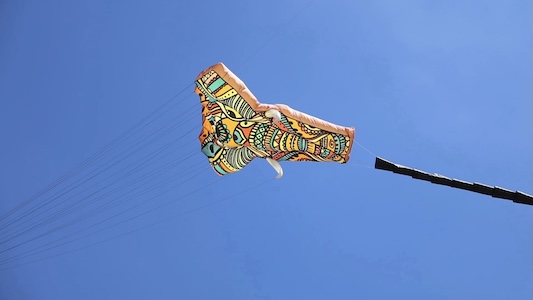 Giant animal-shaped kites, geometric designs and imaginative creations transform the blue sky into a vibrant canvas of colour during the 32nd Cape Town International Kite Festival in Cape Town, South Africa on October 24, 2026. /CMG Africa