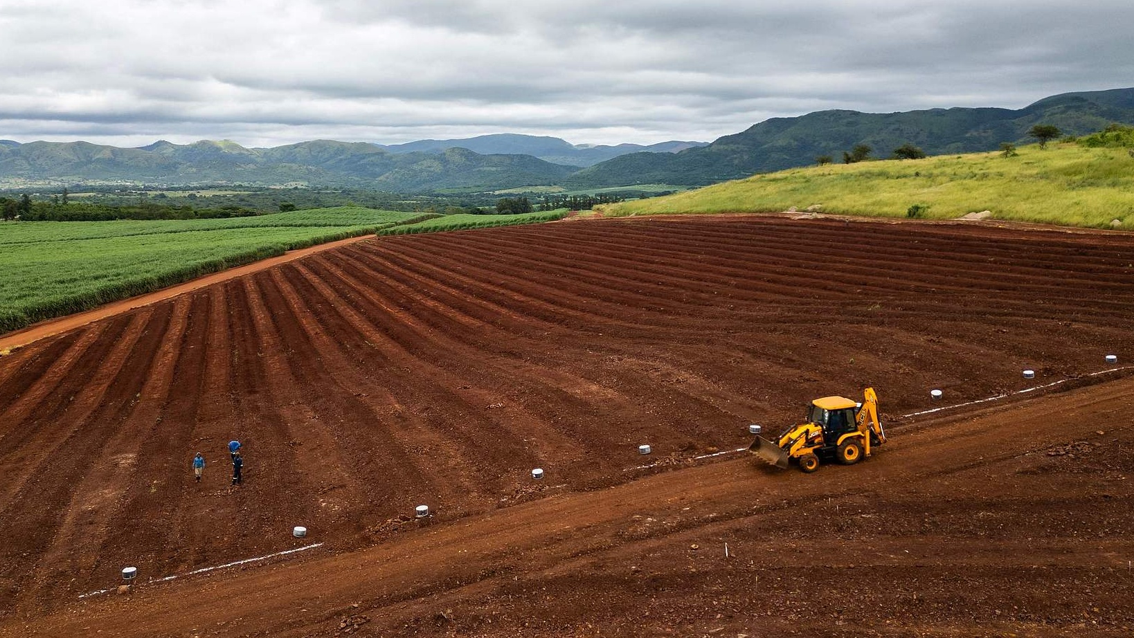 An aerial view of a land being processed for farming bananas by Matsamo Community Project Association in the Kaalrug area south-east of Malelane, March 12, 2025. /VCG